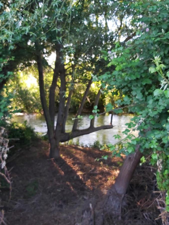 Durmiendo Entre Arboles, Bonita Cabana En La Rioja Anguciana Buitenkant foto